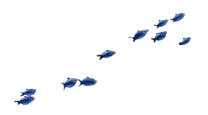 Fish 1