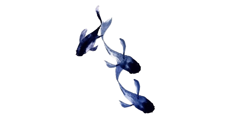 Fish 2