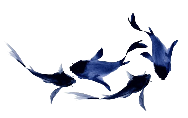 Fish 4
