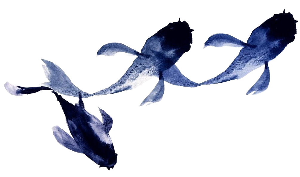Fish 5